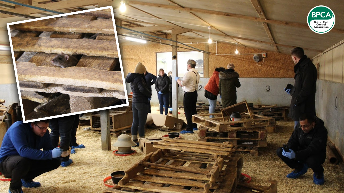 church-farm-training-lease church-farm-training-lease